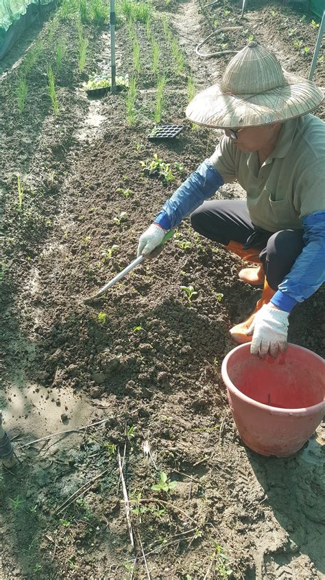 Bulu Farm 自然農場 .